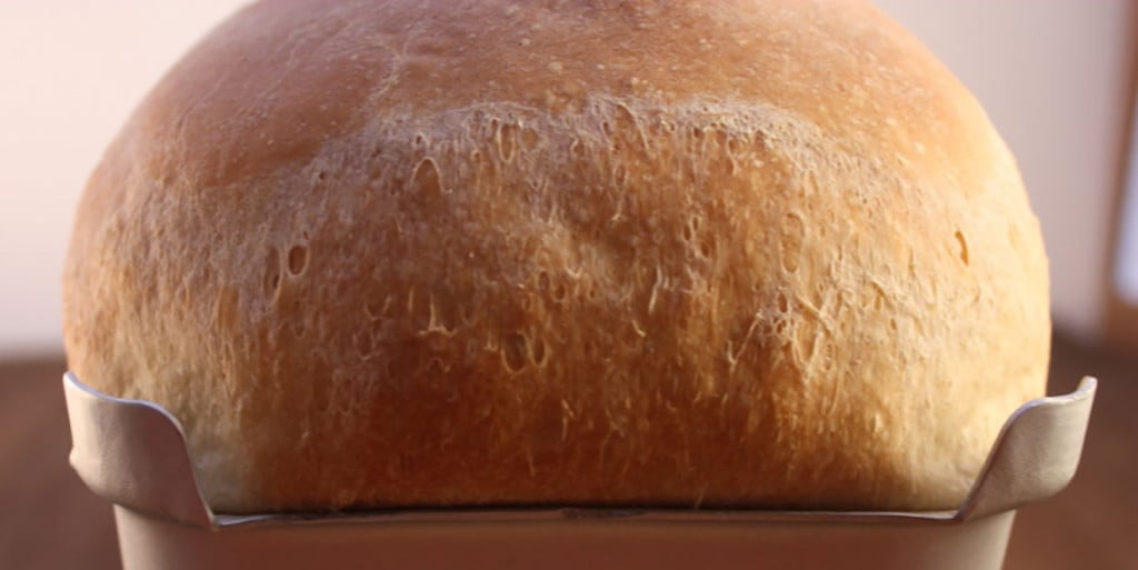 Homemade Sandwich Bread in a loaf pan.