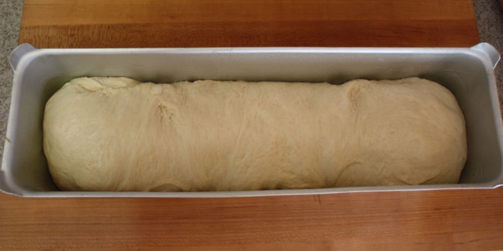 Bread dough in the large loaf pan.