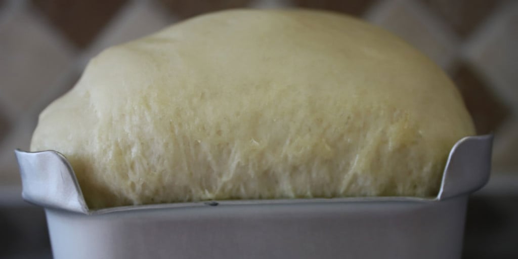 Bread dough risen over the sides of the loaf pan.