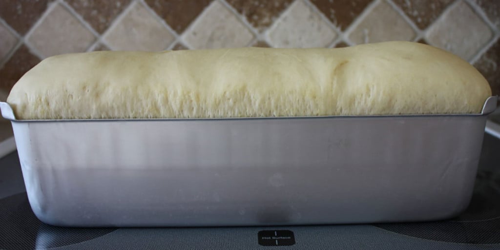 Bread dough risen over the sides of the loaf pan.