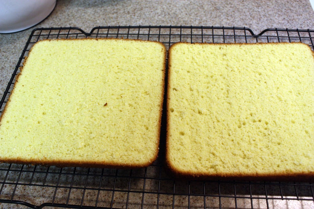 Genoise cake cut in half on a wire rack.