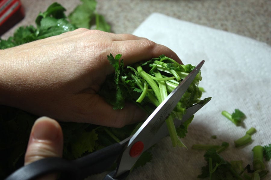 scissors cutting the ends off of parsley