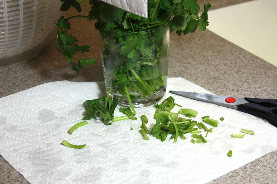 fresh parsley in a glass with water