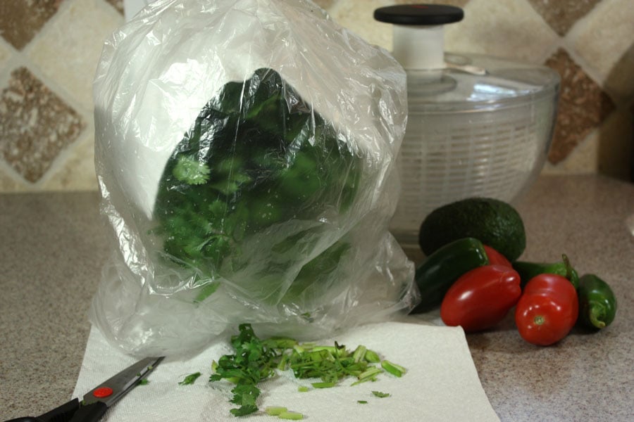 fresh cilantroi n a glass with water draped with a paper towel then covered in a plastic bag