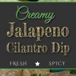 Creamy Jalapeno Cilantro Dip - Be WARNED! This dip is addictive! Fresh, creamy, spicy dip, sauce or dressing. #dip #recipe #appetizer #gameday #party