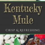 Crisp Refreshing Kentucky Mule - Perfect warm weather, porch sittin' cocktail!