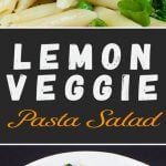 Lemon Veggie Pasta Salad - Perfect spring and summer side dish! Loaded with colorful, crisp vegetables and tossed with a light, tangy, fresh lemon dill vinaigrette.
