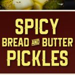 Spicy Bread & Butter Pickles - Spicy, sweet and extra crunchy bread and butter pickles! Almost Wickles.