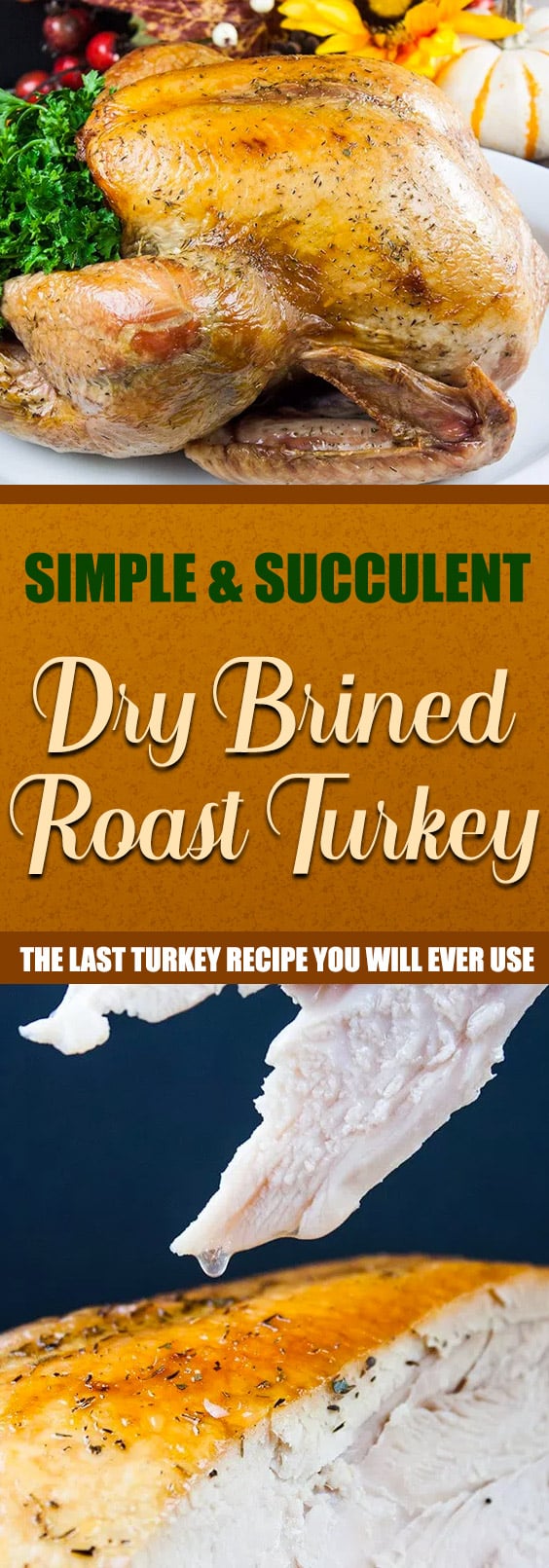 Simple Succulent Dry Brined Roast Turkey - You will never use another method again! Dry brining will give you a phenomenally moist, tender, deep flavor filled turkey. #thanksgiving #christmas #turkey #recipe #easy