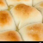 one hour dinner rolls