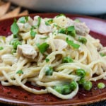Turkey tetrazzini on a red plate garnished with chopped parsley.