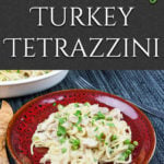 Easy Creamy Turkey Tetrazzini - From scratch, no canned soup! Use those turkey leftovers from Thanksgiving and Christmas in this easy, delicious, creamy noodle dish. #leftoverturkey #recipe #turkey