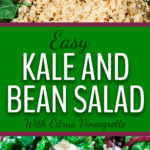 Kale and Bean Salad - An easy nutrient-rich kale and bean salad dressed with a tangy citrus vinaigrette. My version of the Long Life salad. #longlife #kale #salad #beans