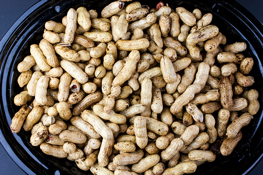 Raw peanuts in the crock of a slow cooker.