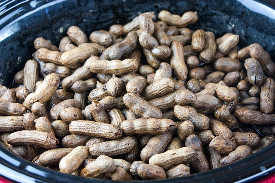 Slow Cooker Boiled Peanuts in the crock of a slow cooker.