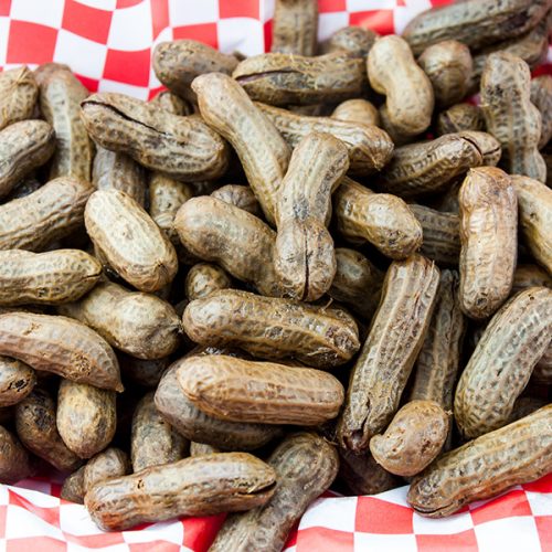 Slow Cooker Boiled Peanuts - A slow cooker makes boiled peanuts super easy to make! A warm, salty, tender boiled peanut is the perfect snack for any occasion!