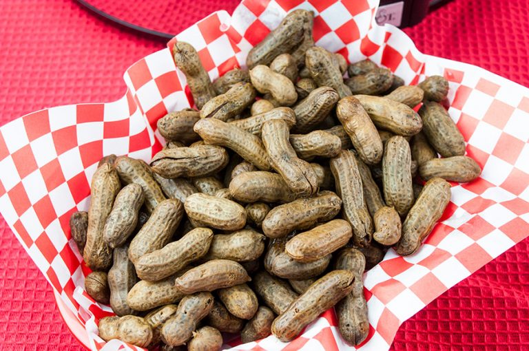 Slow Cooker Boiled Peanuts