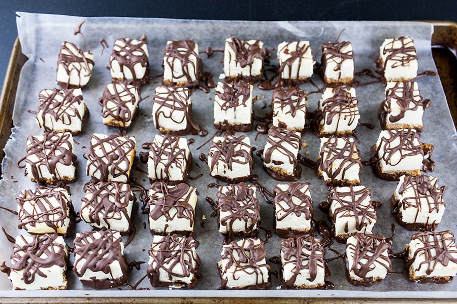 Chocolate Covered Cheesecake Bites - cheesecake squares drizzled with chocolate