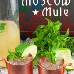 Skinny Moscow Mule - Sugar-free cocktail! Yes, no added sweeteners at all. Crisp, light, and totally refreshing. It's five o'clock somewhere, right? #cocktails #lowcarb #sugarfree #recipe