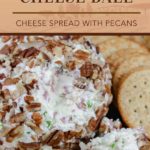 Best Cheese Ball Recipe - Six simple ingredients are all you need to make the best cheese ball recipe! Even better, it takes just minutes to make. It's the perfect make-ahead appetizer. Holiday gatherings, parties, game day events, etc! #appetizer #recipe #holiday #holidays #party