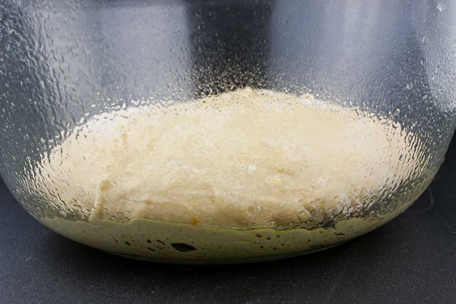 Panettone dough place in an oiled glass bowl to rise.