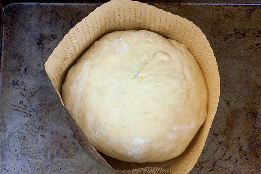 The formed dough in a panettone mold on a baking sheet.