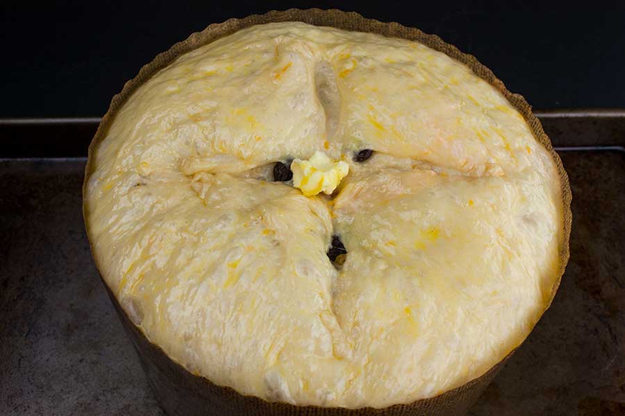 The risen panettone dough with a cross cut in the middle and a dab of butter placed in the center.