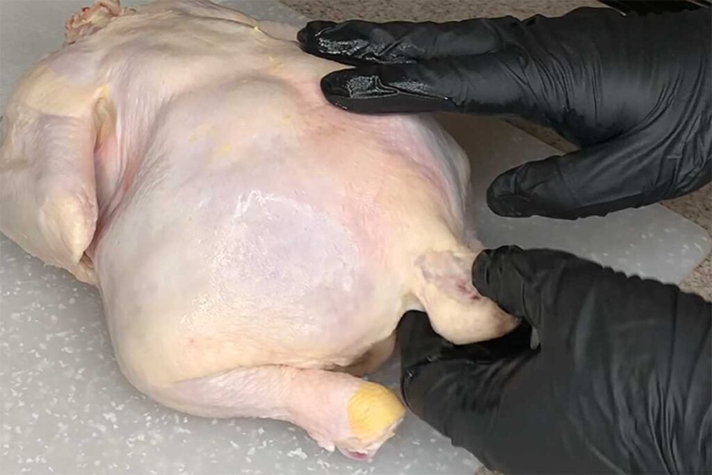 Show the Parson's Nose on an uncooked whole chicken