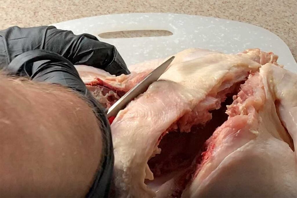 Removing the backbone on a whole chicken.