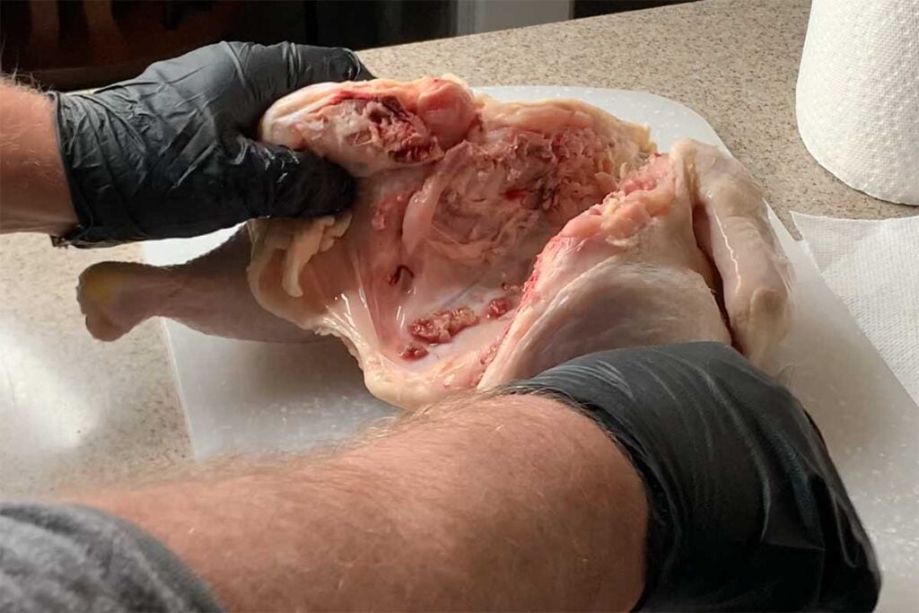 A whole chicken with the backbone cut out.