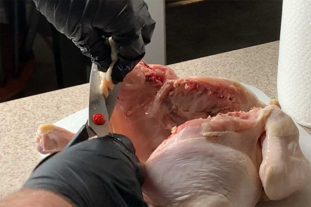 Removing excess skin from spatchcocked chicken.