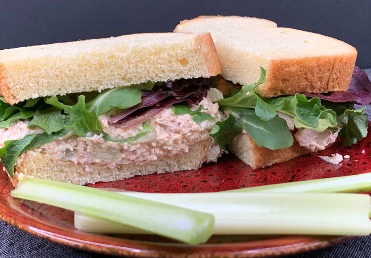 smoked chicken salad sandwich on a red plate