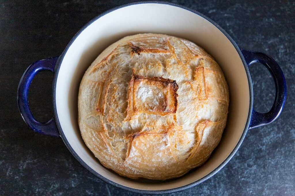 A baked loaf of sourdough in a blue dutch oven.