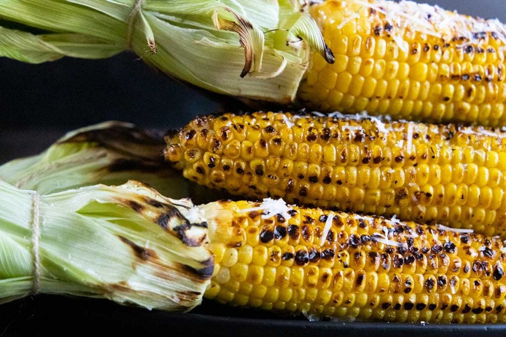 Grilled corn on the cob with the husks pulled back and tied