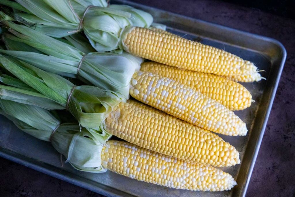 raw corn on the cob wit the husks tied back on a cooking tray