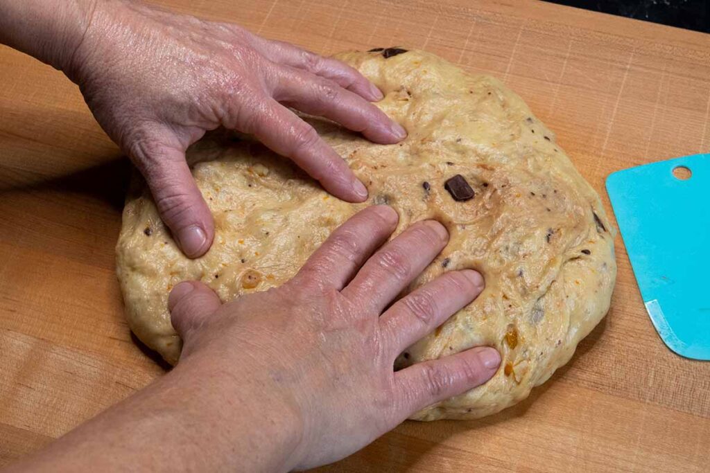 panettone dough pressed out