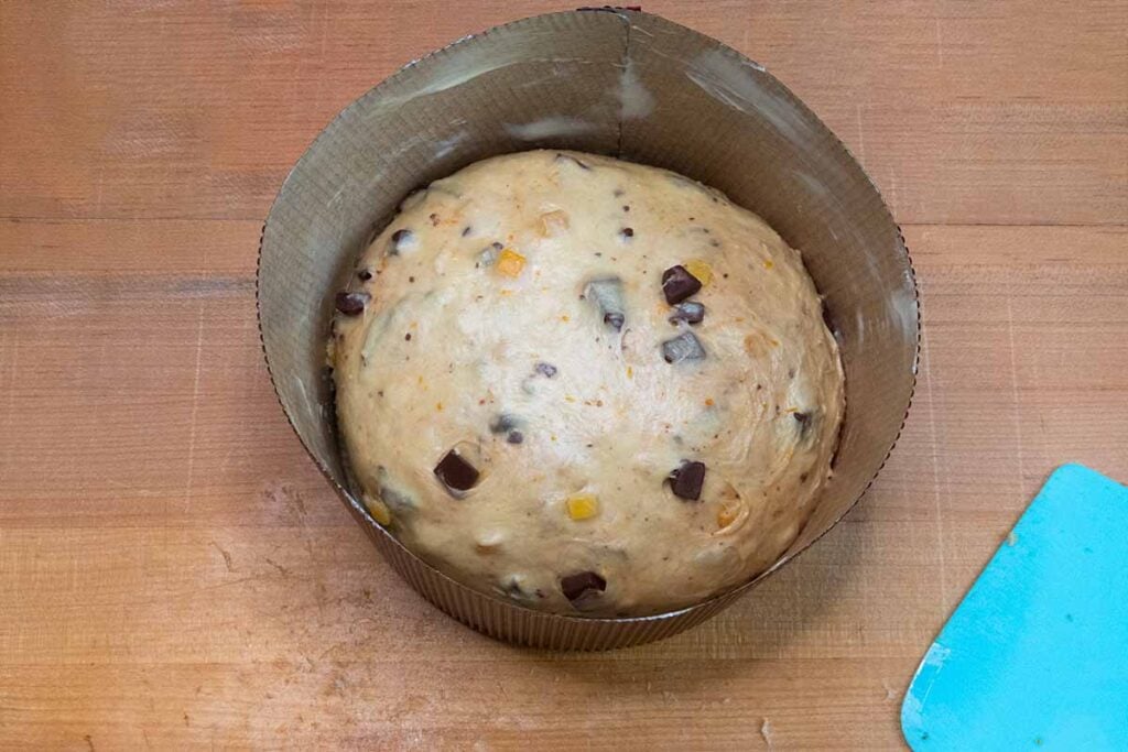 dough in panettone mold