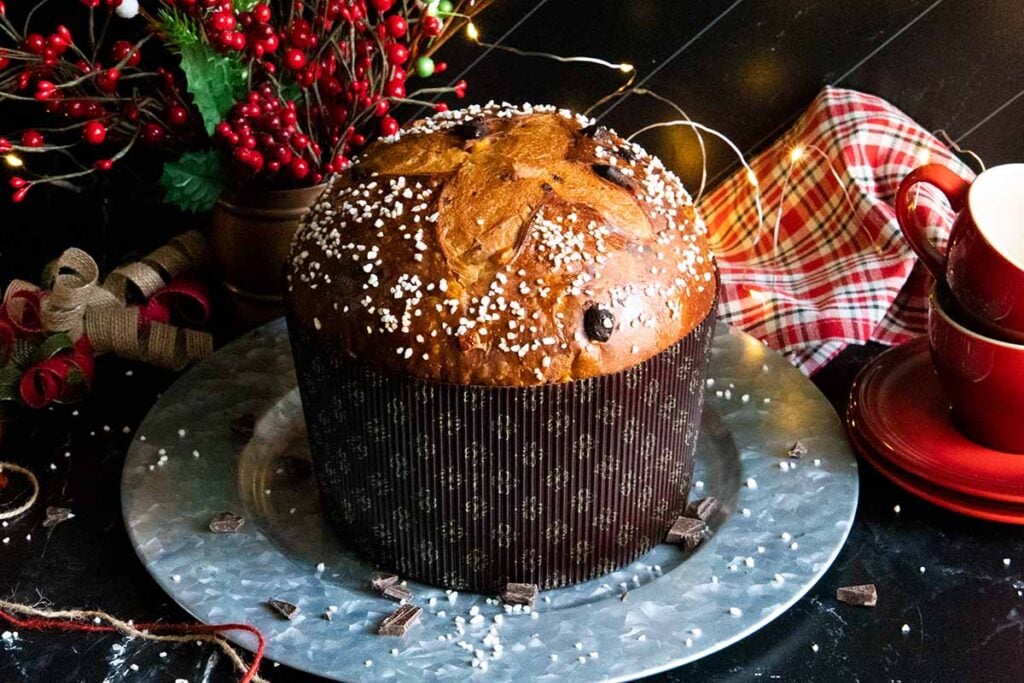 Baked chocolate orange panettone on a silver tray.