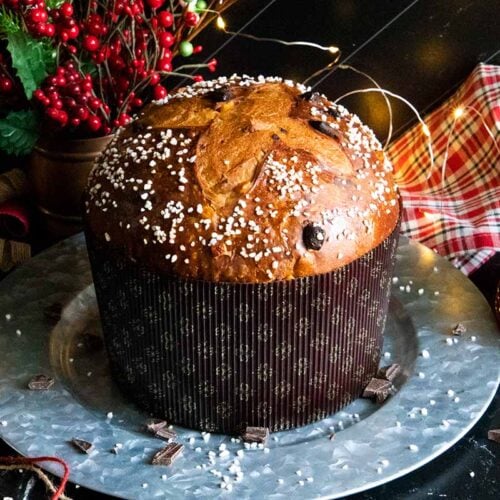 Baked chocolate orange panettone on a silver tray.