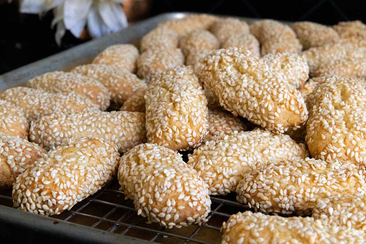 sesame seed cookies on baking sheet