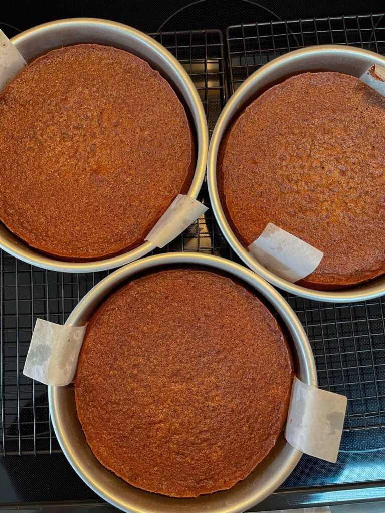 Baker's german chocolate cake layers in three round cake pans.