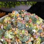 Broccoli salad in a light bowl with a plant in the background.