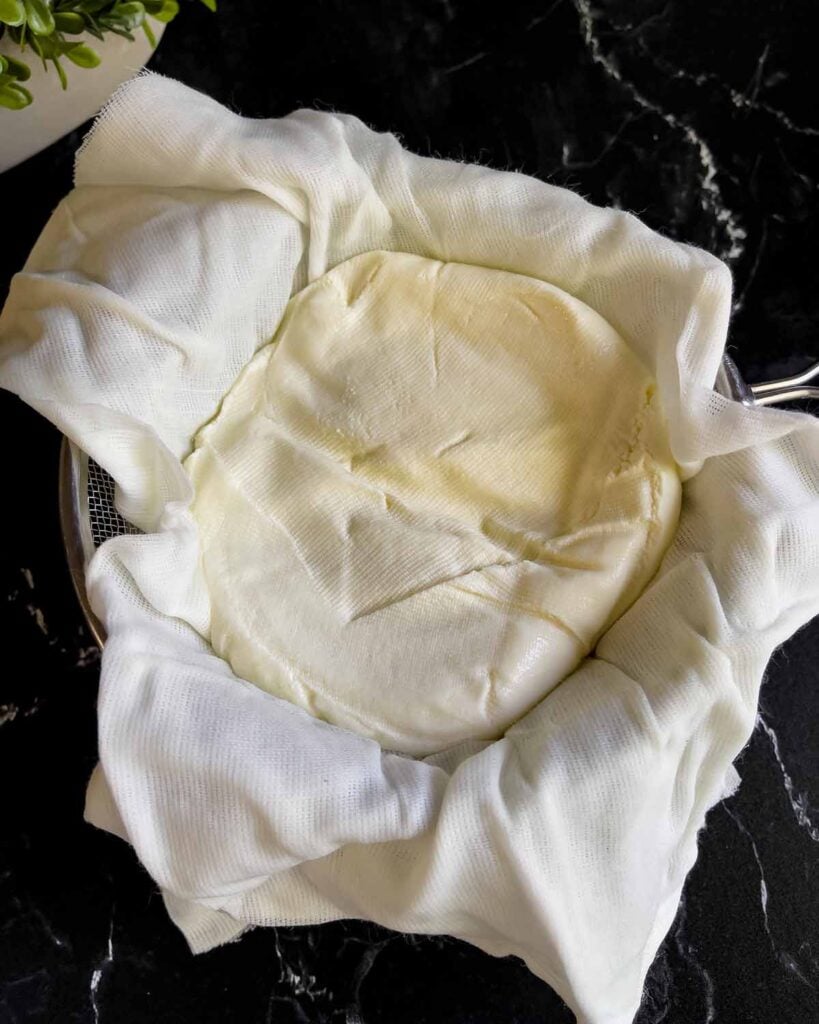 Drained ricotta cheese with the cheesecloth unwrapped in a strainer.