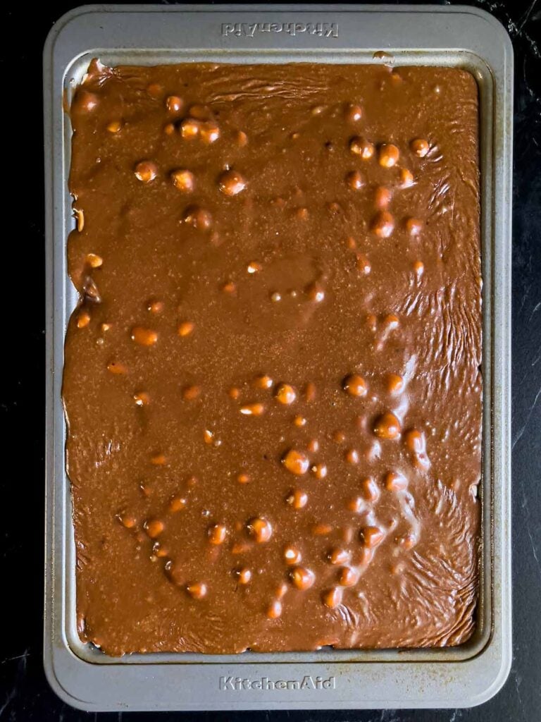 Mississippi Mud Cake in a metal baking pan.