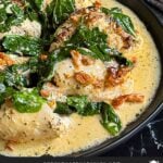 Slow Cooker Tuscan Chicken in a dark bowl on a dark surface.