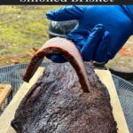 A slice of brisket flat being balanced on a gloved finger.