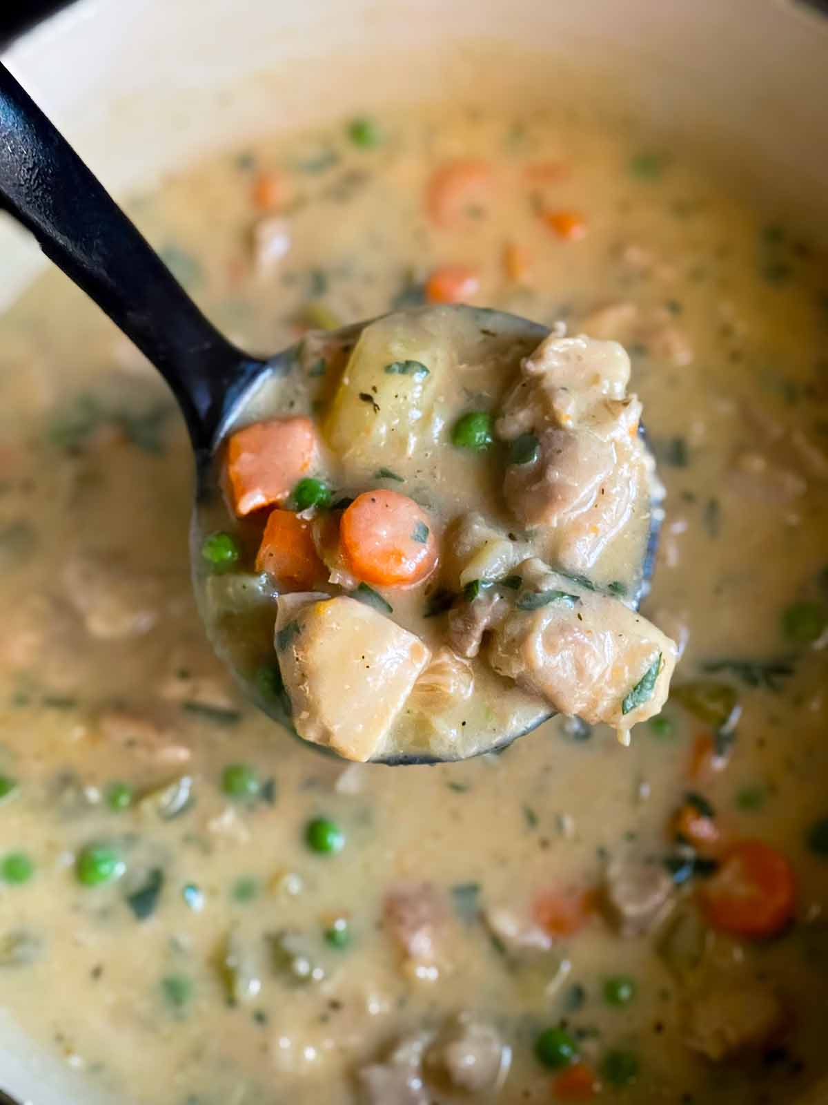Easy Creamy One Pot Chicken Stew - Don't Sweat The Recipe