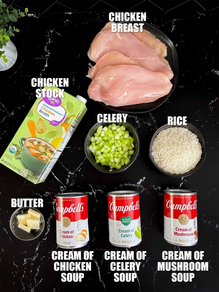 Chicken and rice casserole recipe ingredients on a dark surface.
