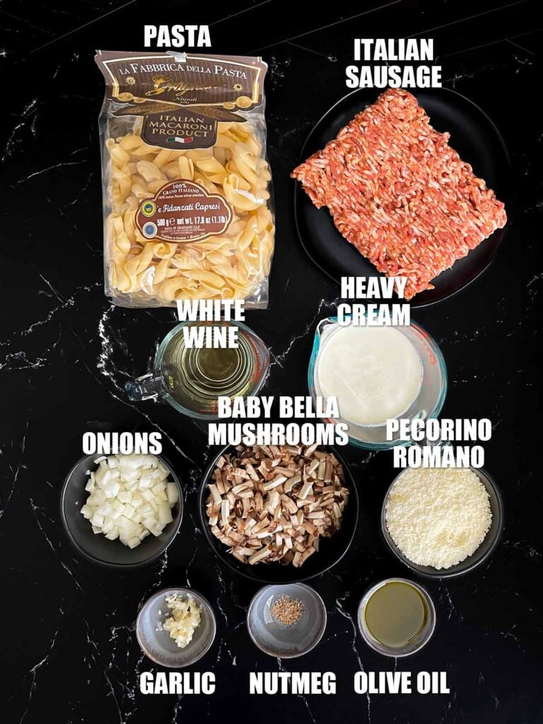 Ingredients needed to make Pasta alla Norcina.