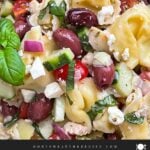 Tortellini pasta salad in a dark bowl.
